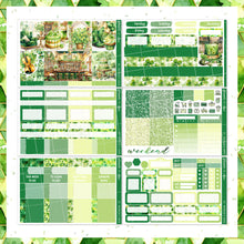Load image into Gallery viewer, St. Patrick's Day / weekly kit