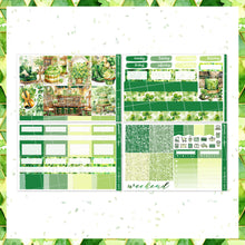 Load image into Gallery viewer, St. Patrick's Day / weekly kit