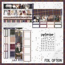 Load image into Gallery viewer, Aesthete / monthly kit